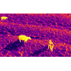 Thermal Imaging Thumbnail